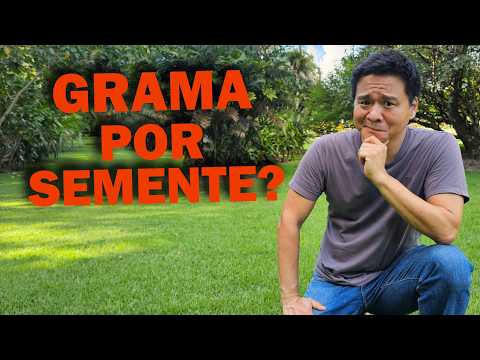 Plantar Grama por sementes?