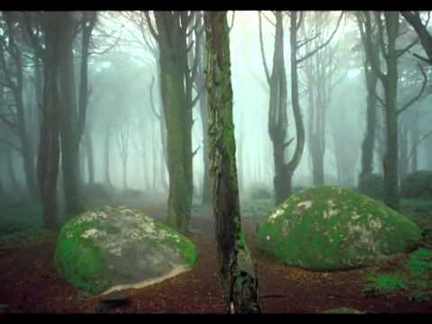 Flávio Venturini - Amor de Índio