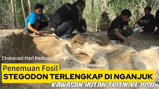 Download lagu FOSIL STEGODON TERLENGKAP DI NGANJUK : EKSKAVASI HARI KEDUA mp3 Download lagu FOSIL STEGODON TERLENGKAP DI NGANJUK : EKSKAVASI HARI KEDUA mp3