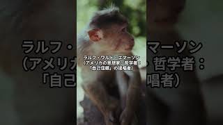 自己信頼#short #名言 #大事なこと #hsp #雑学 #いい言葉 #人間心理 #休息