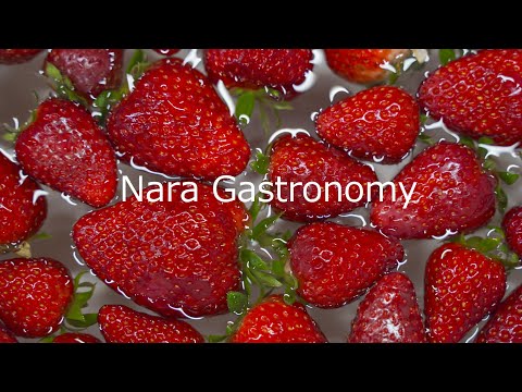"Nara Gastronomy" with English subtitles