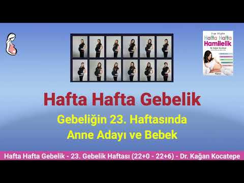 Gebelikte 23. hafta (22+0-22+6) belirtileri. Anne adayı ve bebekte değişiklikler, ağrı nedenleri