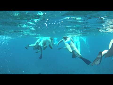 Snorkeling with Joanie's girls