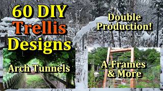 Over 60 Vegetable Garden DIY Trellis Designs (Materials, Placement, Vertical Growing Ideas)