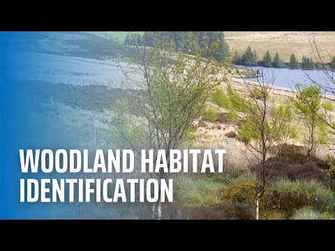 Woodland Habitat Identification