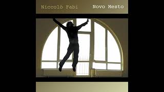 COSTRUIRE - Niccolò Fabi
