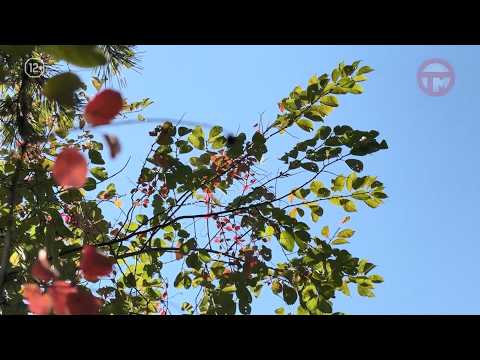 ☀️ Первый выходной недели обещает быть по-настоящему летним