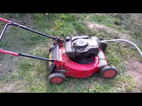 Wühlmäuse Wühlmausbekämpfung in CZ