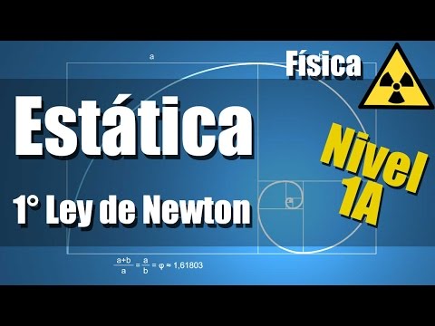 Static Exercises Solved Level 1A - Newton's First Law