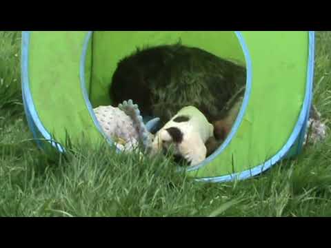 RalphiexDesi 4 wks (4.29.18)