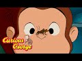 What Sound Do Crickets Make Curious George Kids Cartoon Kids Movies