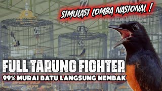 Download lagu SIMULASI MURAI BATU BIKIN EMOSI 🔥 TERBARU 2023 🔥 mp3