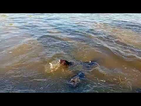 Lagoa Santa Goiás.  29/11/25