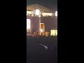 Avatar Live Balangoda