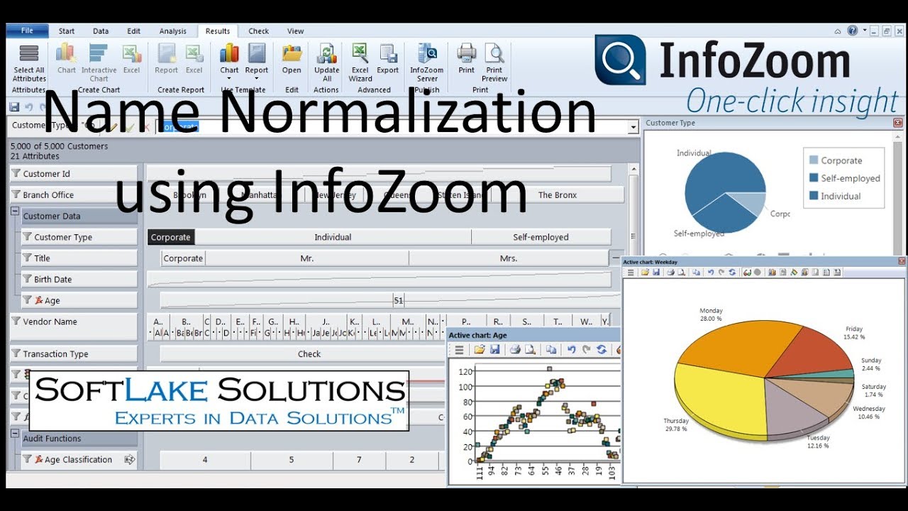 Name Normalization using InfoZoom