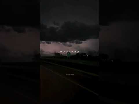 Mi Gata ( Spanish & English lyrics ) | Standly ft. El Barto | #shortsfeed #shorts