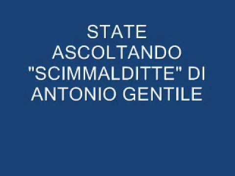 "SCIMMALDITTE"  di ANTONIO GENTILE