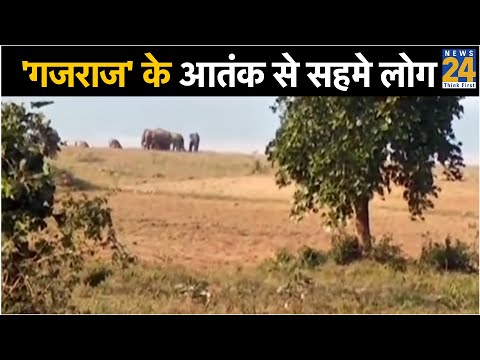 'गजराज' के आतंक से सहमे लोग