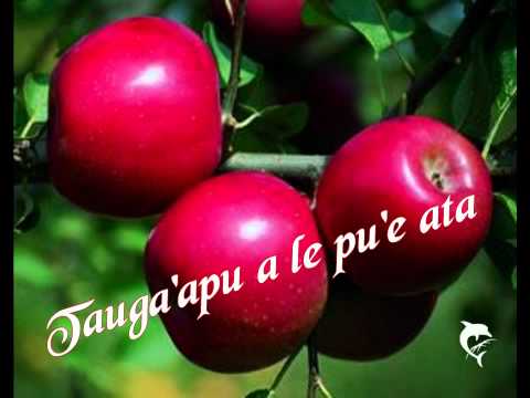 Tauga'apu a le pu'e ata