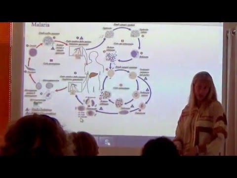 Olisticmap - 1. parte - Parassiti