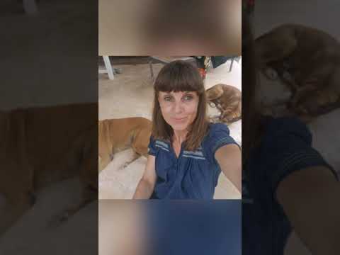 Aya Beach Bungalows Zansibar Kizimkazi