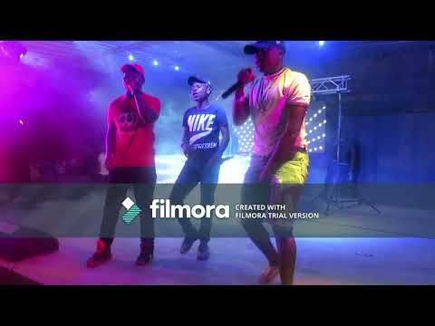 BIODIZY, PWJ AND CASA Performing R