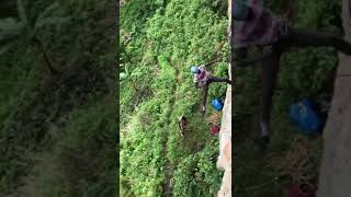Download lagu Sipi Falls mp3
