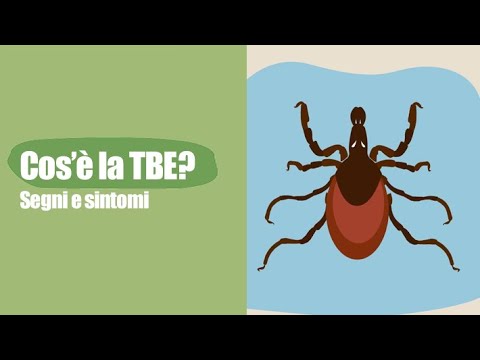 Cos'è la TBE? - Segni e sintomi
