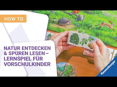 Discover nature & read tracks - educational game for preschool children