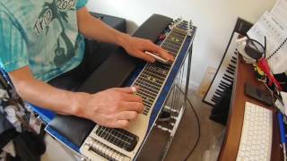 Life #9 - Martina McBride (Steel Guitar Intro &amp; Solo)
