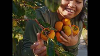 Southeast Asian American Journeys Trailer