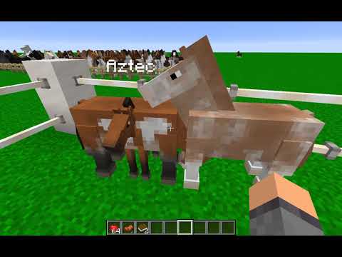 Carolina Creek Stables - Minecraft Mod Review: Realistic Horse Genetics Mod