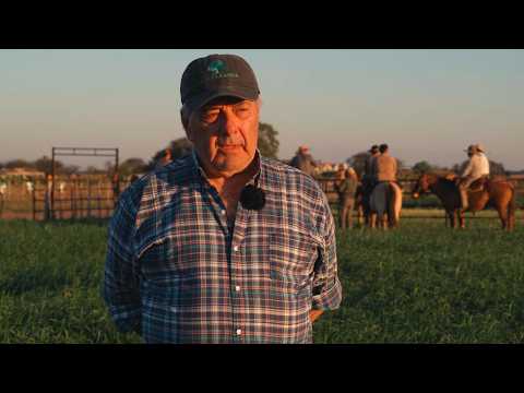 cabaña Don Felipe - ENTREVISTA A JUAN JORDÁN - Brangus - Chaco - Canal Ganadero - cabaña Don Livio