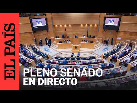 DIRECTO | Sesión de control en el Senado | EL PAÍS