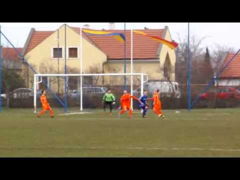 ASV Nickelsdorf gegen ASV Neufeld 2:5 (2:2)