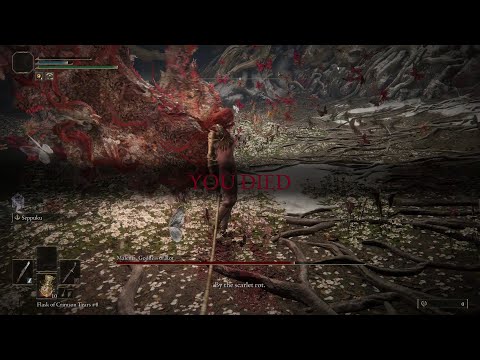 Every time I fight Malenia (input reading?)