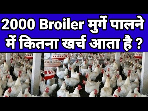 , title : 'Poultry farming business,Broiler chicken farming business,murgi farm business।'