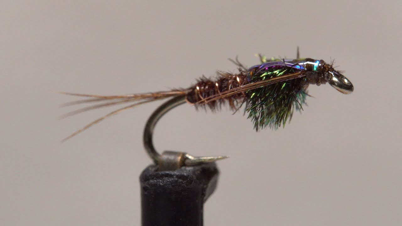 Flashback Pheasant Tail - Size 18