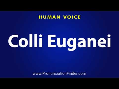 How To Pronounce Colli Euganei