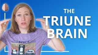 The Triune Brain