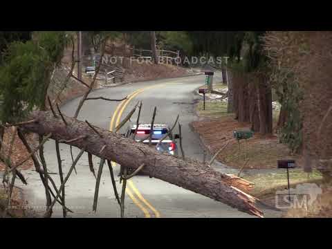 02-19-2022 Harrisburg, PA - Snow squalls cause reduced visibility and knockout power to Supermarket