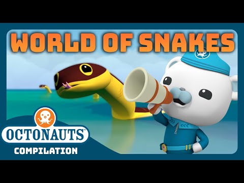 @Octonauts - 🐍 Wonderful World of Snakes ⛑️ | 🌕 Lunar New Year 🧧| Full Episodes Marathon