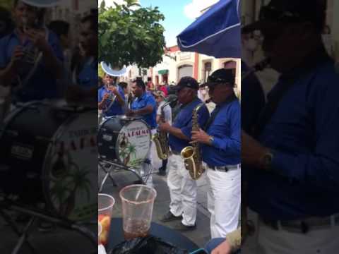 Jerez Zacatecas- Tamborazo en el jardín