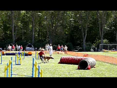 Veres Kupa 2011- Asa - zsenge 2. futam