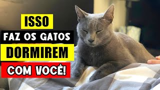 Os VERDADEIROS motivos do seu gato dormir com você! 😴🐈