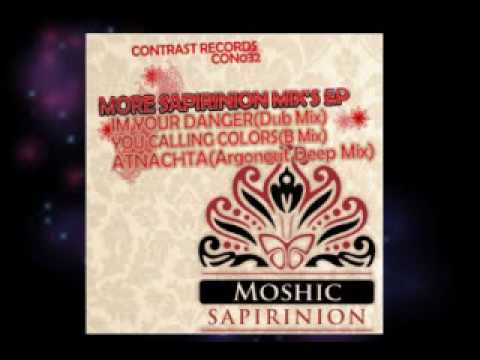MOSHIC -I'M YOUR DANGER(Dub Mix)