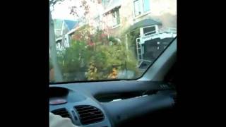 Amparanoia - Don't Leave Me Now