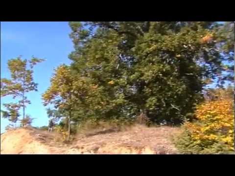 Varrezat e vjetra në Mëhallën e Gjinajve - Depcë