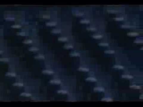 Taxi War Dance - Her Picture