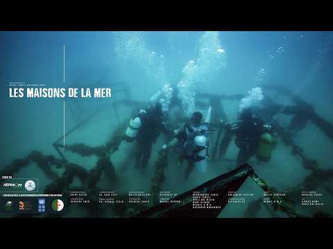 Les Maisons De La Mer (2017)